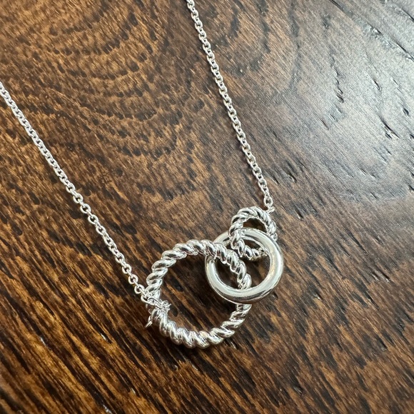 Jewelry - NEW IN BOX Elegant Silver Interlocking Circles Necklace